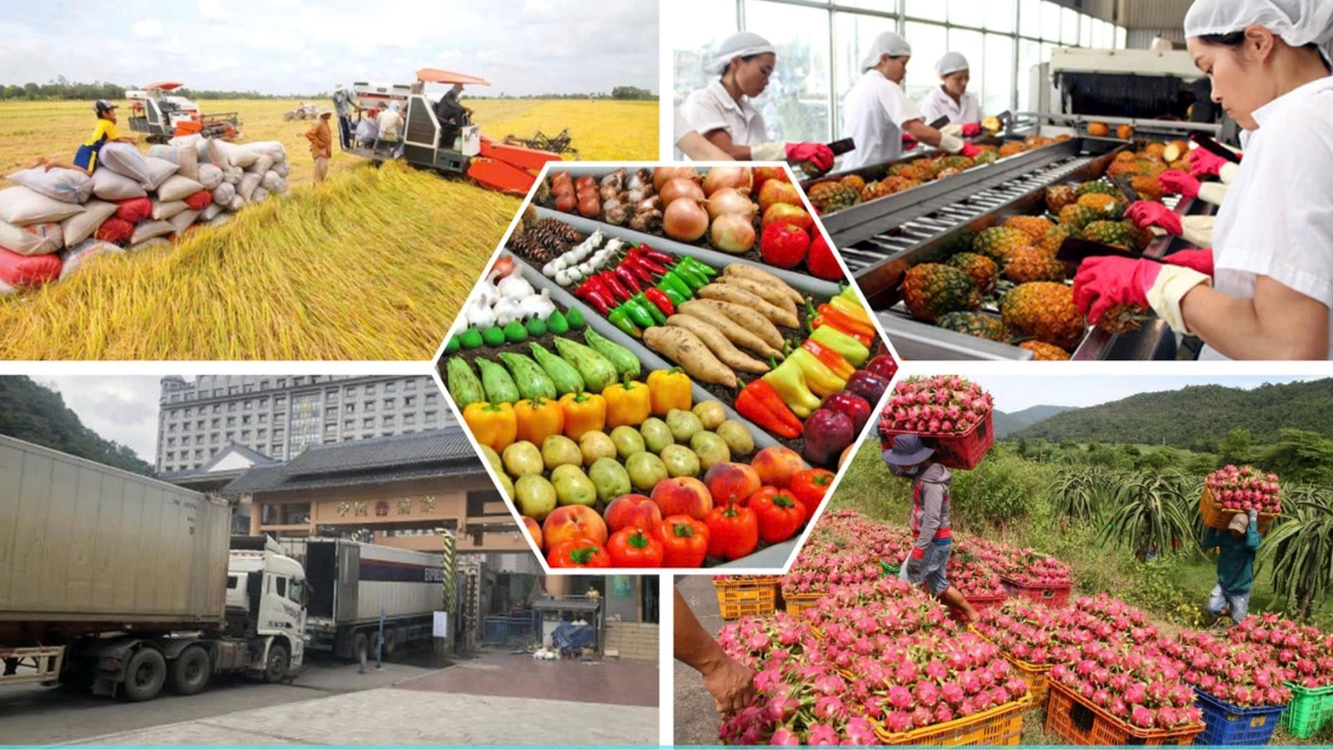 CHO THUÊ CONTAINER LẠNH TẠI THÁI NGUYÊN – GIẢI PHÁP BẢO QUẢN CHUYÊN NGHIỆP CHO DOANH NGHIỆP